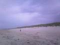 den helder strand vlieger