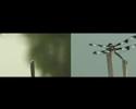Dragonfly Variations: performance w/ video & lecture 2 Dragonfly Variations: performance w/ video & lecture 2