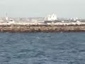 Gray whale breaching near San Pedro, CA - 1/20/08
