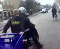 Bier Halen DHZ Bier Halen DHZ