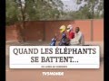 BA DE LA SRIE AFRICAINE QUAND LES LPHANTS SE BATTENT