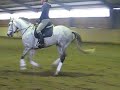 Omar galopp Omar galopp
