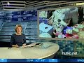 Видеоновость Буэнос-Айрес. Обитатели зоопарка получили Новогодние подарки