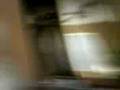 videos de Scooby n Me :D