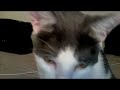 Who is Loki?  Here's his story... - Thumb #3