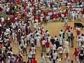 Fight In The Bull Run Arena
