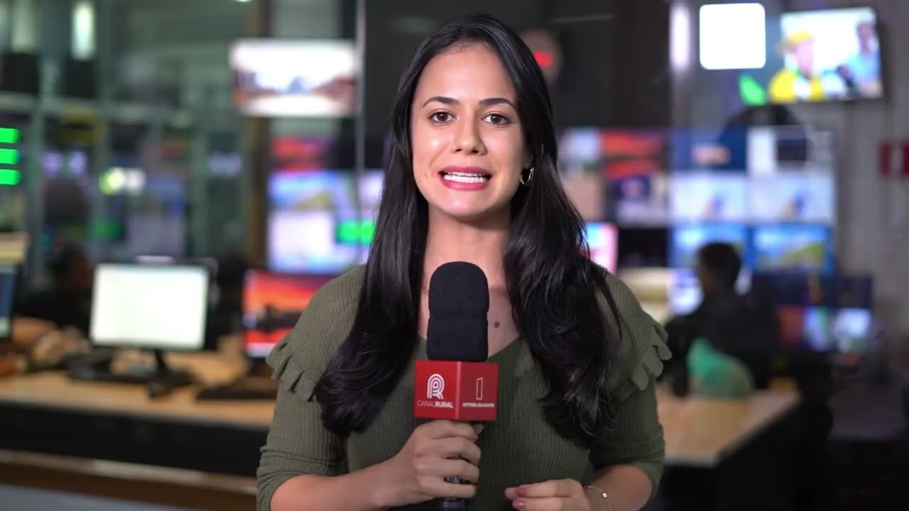 Exportações de ovos do Brasil crescem no início do ano