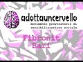 Adottauncervello @ Fibronit