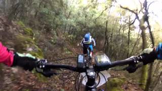 Video Bigreen