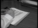 Dumbass - The Outline of the Hypothesis - Video