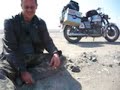 Guzzi says HI (2)
