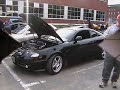 2003 tiburon