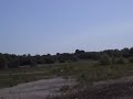 Dog chases plane
