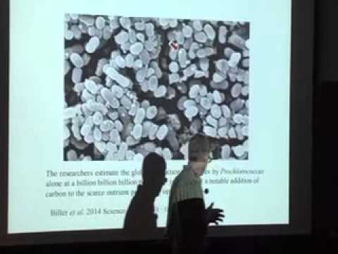 how to collect aquatic invertebrates