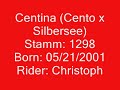 Centina - Holsteiner Mare by Cento Centina - Holsteiner Mare by Cento
