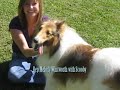 Let's Turn Vick's Bad Newz Kennels into the Good Newz Rehab Center for Chained Dogs!