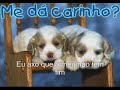 Foge comigo Wellyngton & Nilo Foge comigo Wellyngton & Nilo