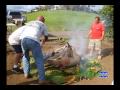 Pig Roast in Hawaii