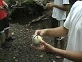 Homemade Bomb Collection 1 Homemade Bomb Collection 1