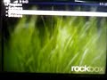 ROCKBOX and MOTOROLA ROKR E2 ROCKBOX and MOTOROLA ROKR E2