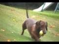 videos de Oswald And The Apple