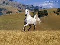 oguz aksaç sokak bas? meyhane oguz aksaç sokak bas? meyhane