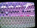 Golazos del PES 2009 - I´ts my life