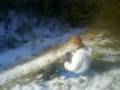 GINGER DEVON SLEDGING - YouTube