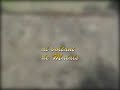 al voltant de maials / around maials
