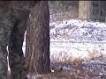 Petarda na poligonie