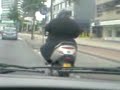 dikke vent dikke vent