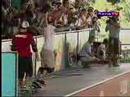 Skateboard - Bob Burnquist Skateboard - Bob Burnquist