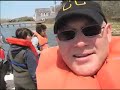 Oyster planting excitement in Osterville Oyster planting excitement in Osterville