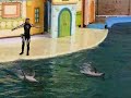Dolphin Show Part 1, Seoul Grand Park