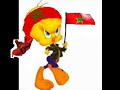 bigg maroc.html