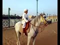 قصيده الخيل مهداه للشاعر ناصر الفراعنة من الفارس محمد السبيعي
