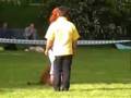 www.psisport.com-zawody obedience klasa 2-Birma