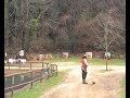 Traditional Archery Aerial shooting