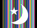 Colours of Islam-Dawuud Wharnsby Ali
