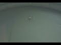 CMU Water Strider Robot
