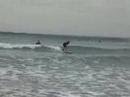 Ayden Surfing the Farm
