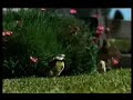 Ford 'Birds' Ad - Zombina & The Skeletones Version