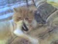 Ugly Playing Ugly Playing
