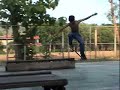 Aringay Skate Crew