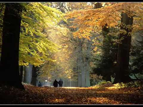 HerfstBeelden