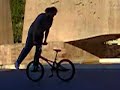 FLATLAND BMXX