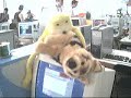 Mr Oizo petando a un perro Mr Oizo petando a un perro