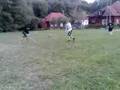 Green meat bandy 3
