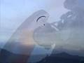 Paramotor...