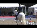 Kristina Harrison-Naness and Rociero XV's Dressage Freestyle